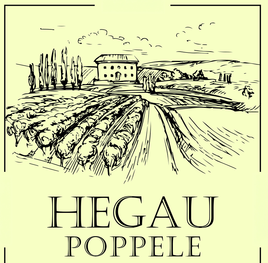 der Wein aus Engen